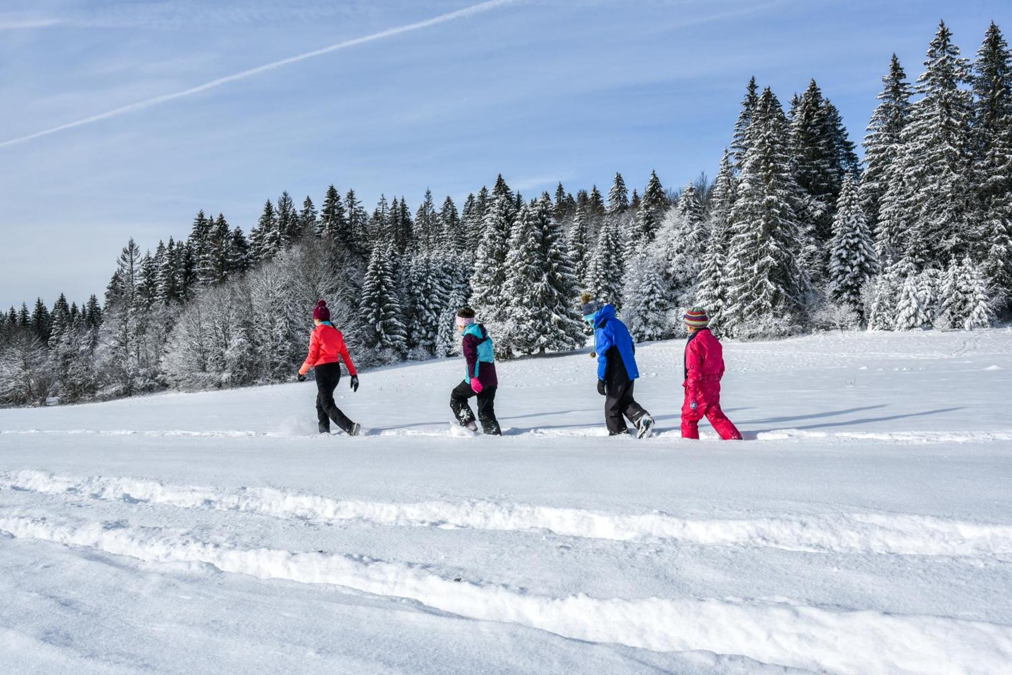 Notre Chalet - Boutique Hotel - En Couple - En Famille - En Groupe Les Fourgs Exteriör bild